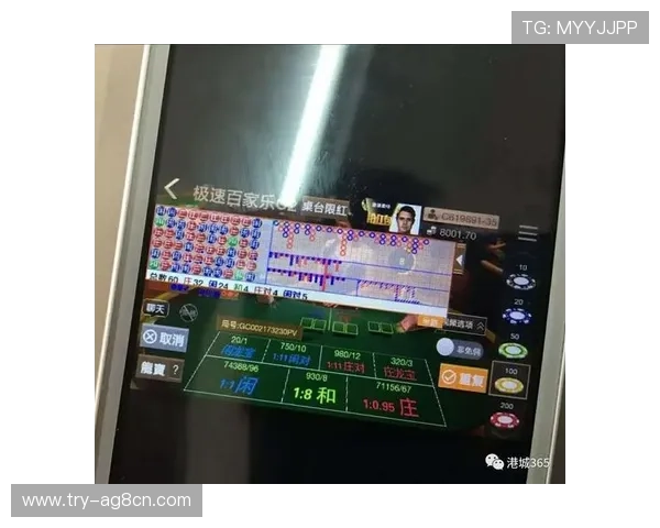 全面解析百家乐路单记录的作用与应用方法，助你科学制定投注策略提升盈利